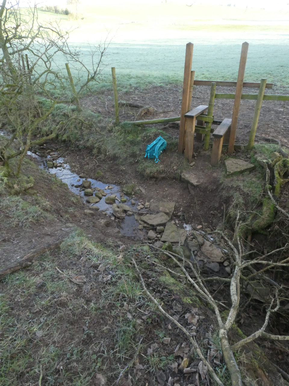 Photo by John Ockenden